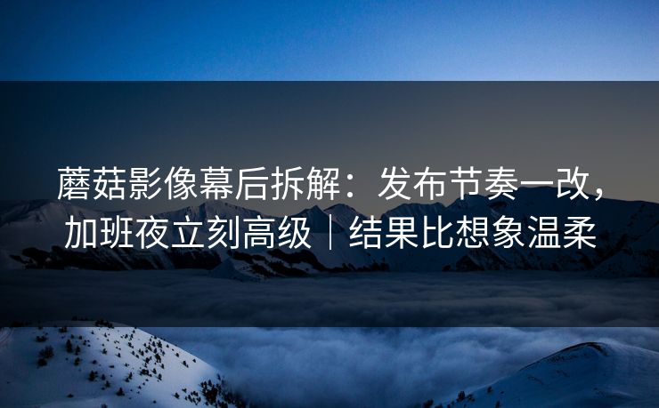 蘑菇影像幕后拆解：发布节奏一改，加班夜立刻高级｜结果比想象温柔