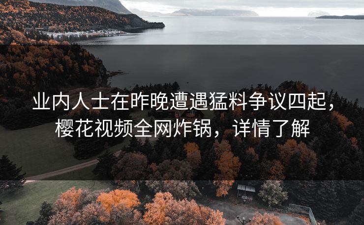 业内人士在昨晚遭遇猛料争议四起，樱花视频全网炸锅，详情了解