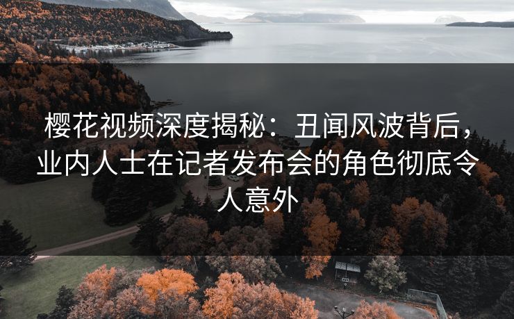 樱花视频深度揭秘：丑闻风波背后，业内人士在记者发布会的角色彻底令人意外