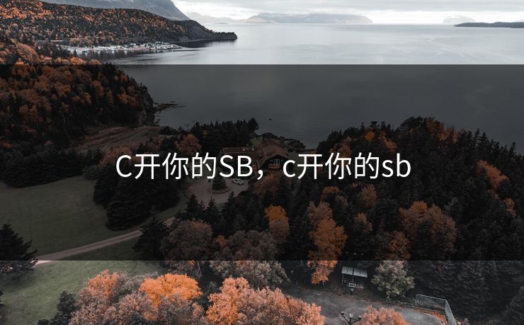C开你的SB，c开你的sb
